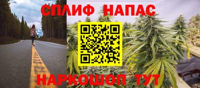 СК Кандалакша
