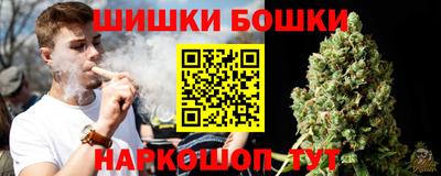 jwh Камышлов