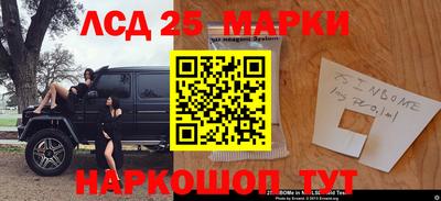 СК Кандалакша