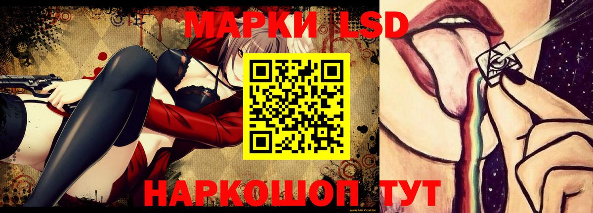 Курчалой  LSD-25 экстази  Вход с VPN  Лсд 25 экстази кислота  ЛСД экстази кислота 