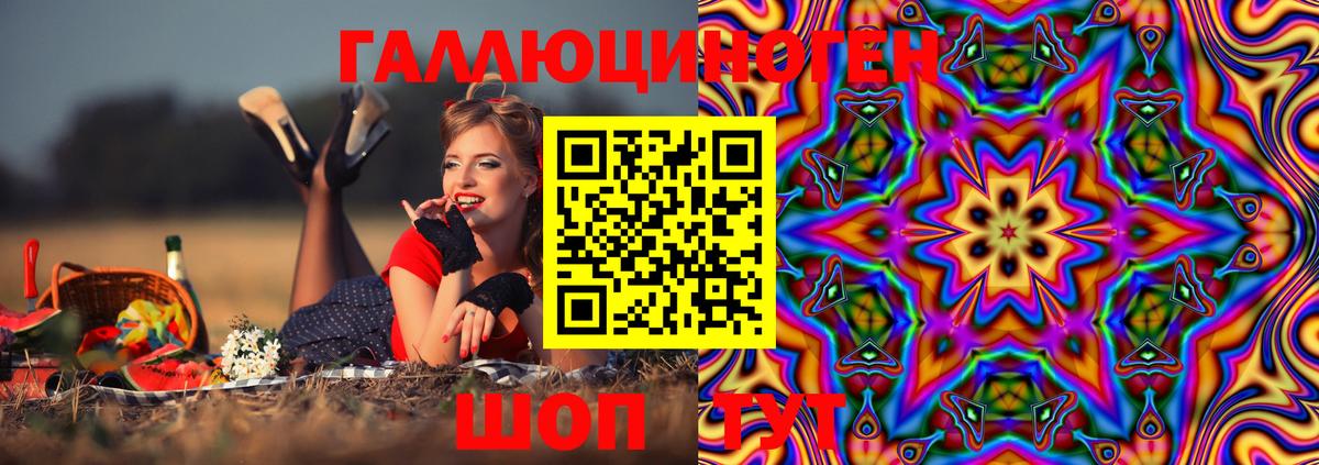 Псилоцибиновые грибы мицелий Курчалой
