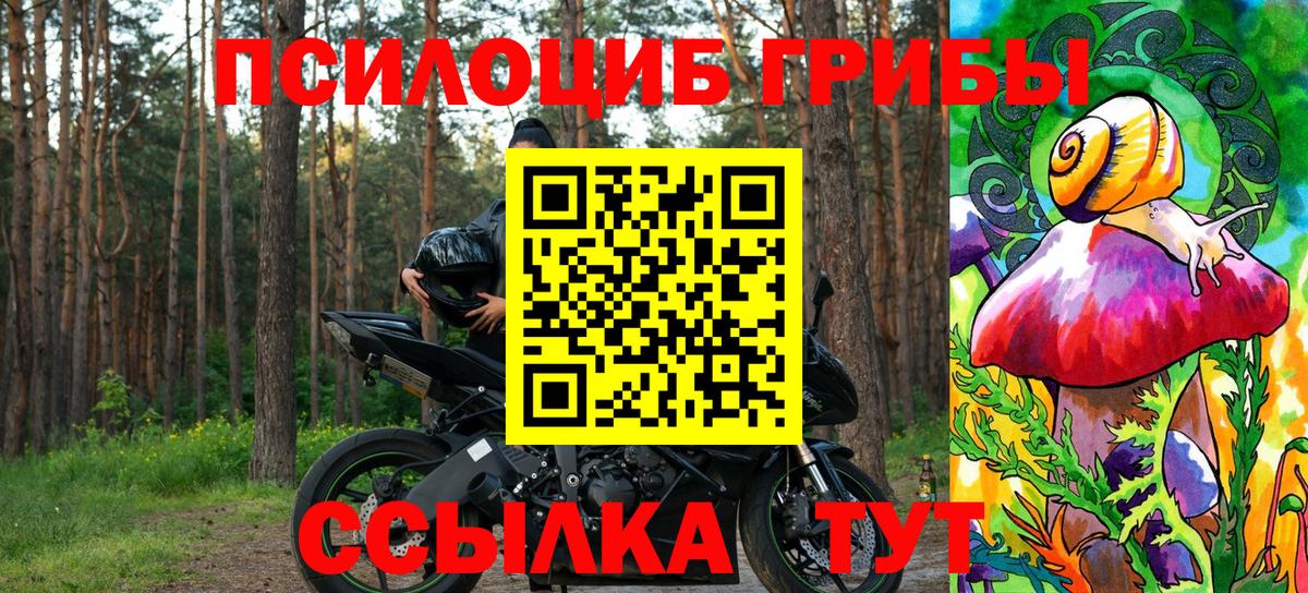 Псилоцибиновые грибы GOLDEN TEACHER  Вход с VPN  Курчалой 